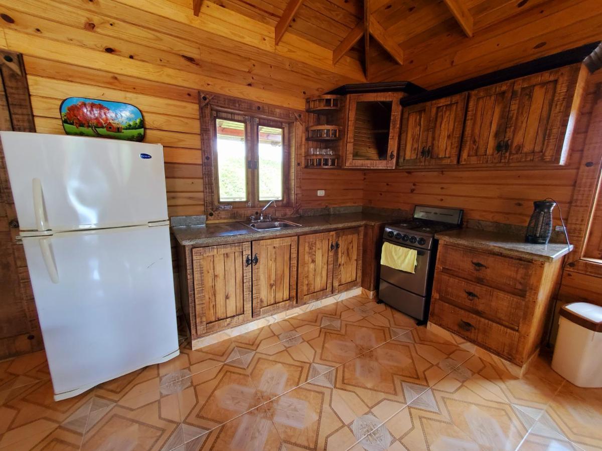 Villas Las Neblinas Constanza Værelse billede